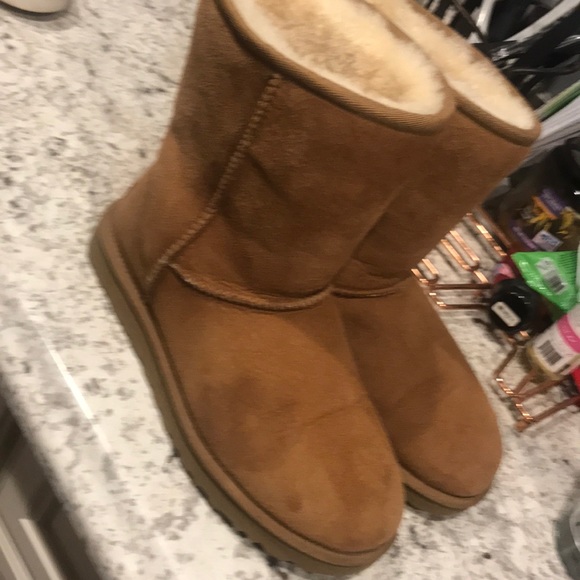 Tan ugg boots 🤩 - Picture 3 of 12